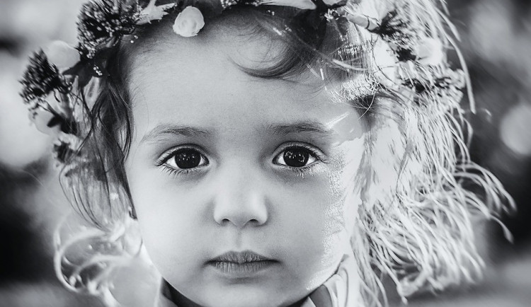 ilustrační fotografie