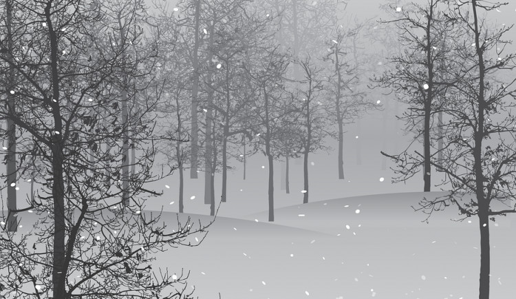 ilustrační fotografie