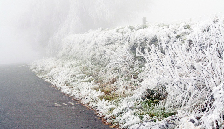 ilustrační fotografie