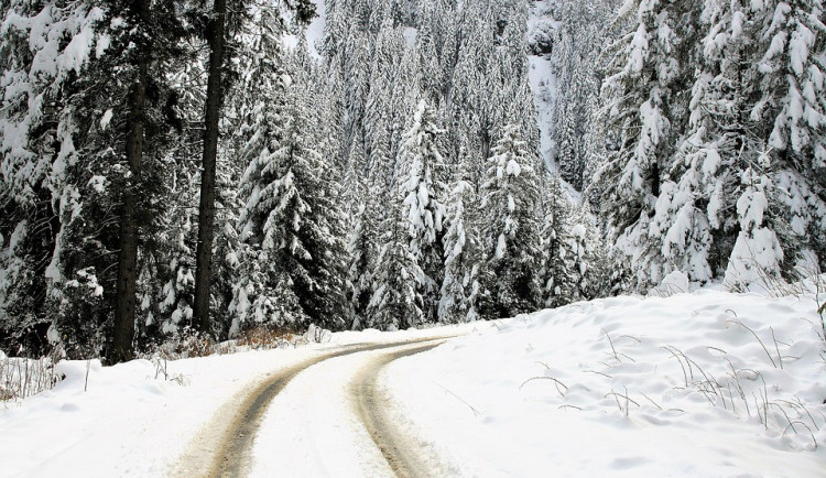 ilustrační fotografie