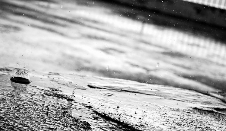 ilustrační fotografie