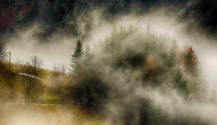 ilustrační fotografie