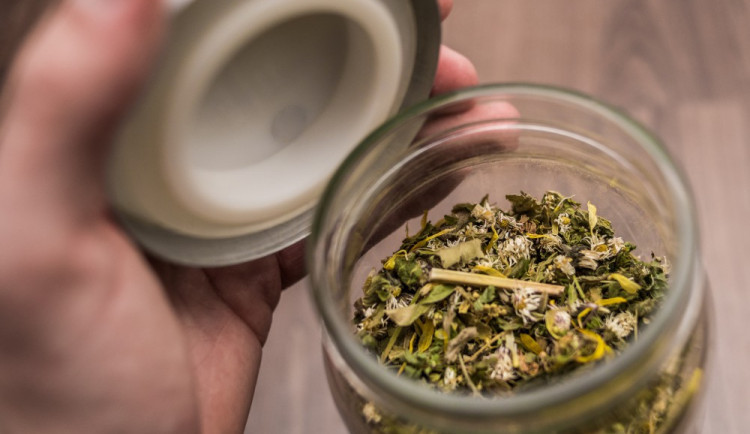 ilustrační fotografie