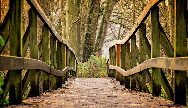 ilustrační fotografie