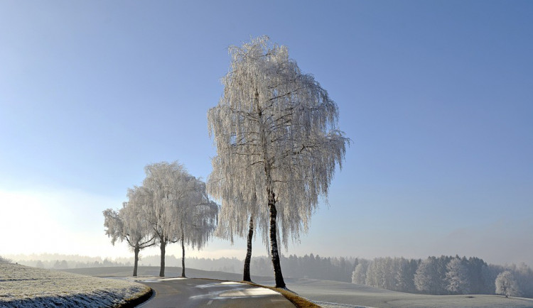 ilustrační fotografie