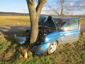 Padesátiletá řidička se chtěla vyhnout srně a čelně narazila do stromu