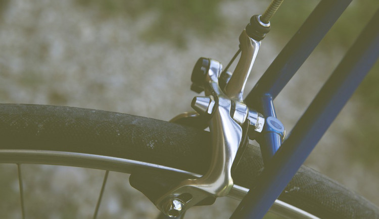 ilustrační fotografie