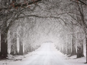 POČASÍ NA NEDĚLI: Meteorologové předpovídají zataženo a sněhové přeháňky