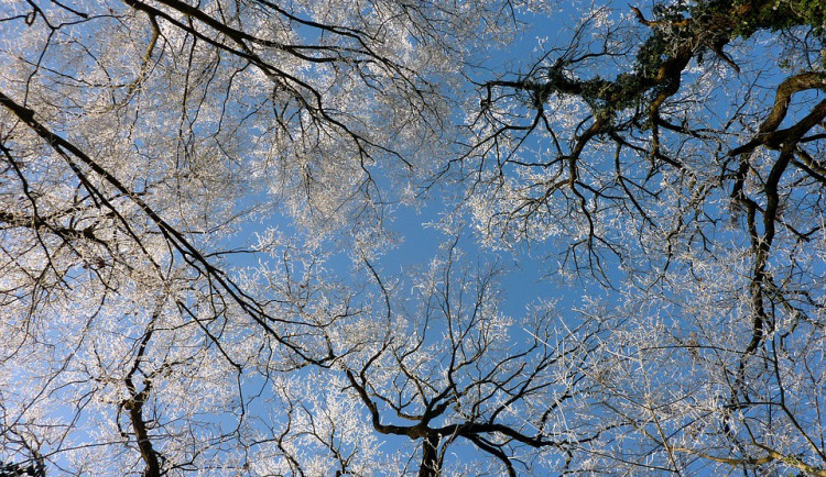 ilustrační fotografie