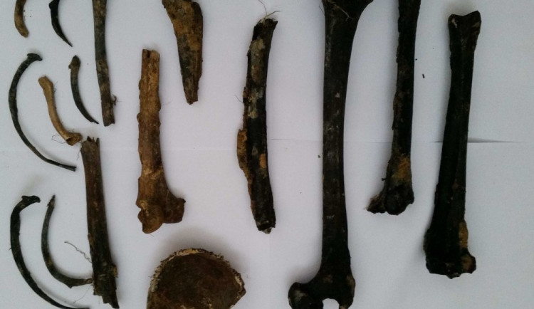 Lidské kosti vyplavaly při havárii vody na Nové Ulici v Olomouci