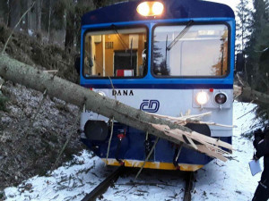 Vlak narazil do padlého stromu, provoz na trati je obnoven