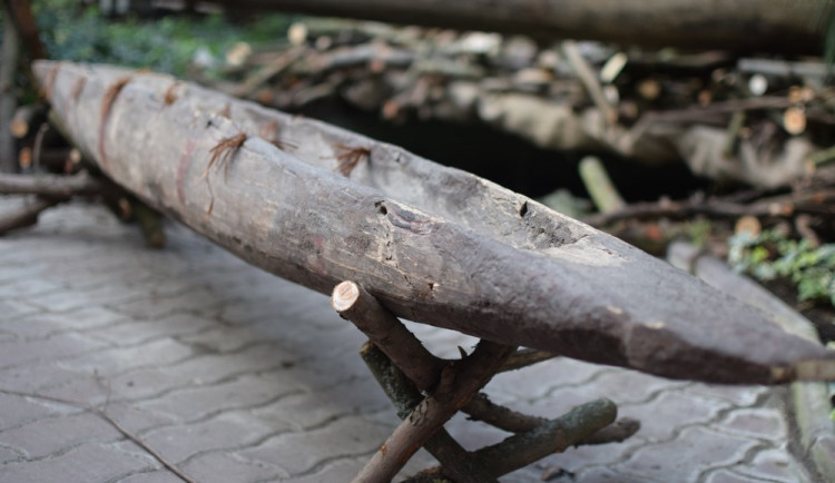 Flora dnes otevírá sbírkové skleníky veřejnosti, podívejte se, jak se buduje Tajemná Indonésie