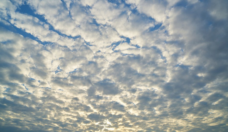 ilustrační fotografie