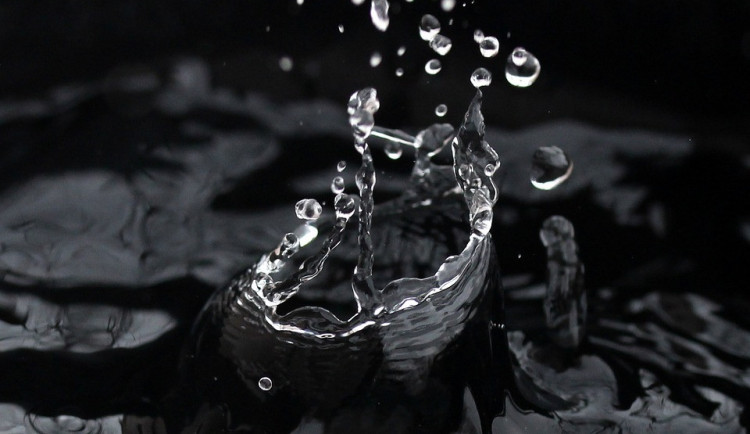 ilustrační fotografie