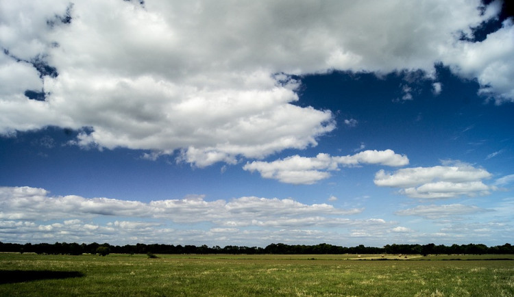 ilustrační fotografie