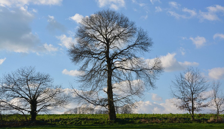 ilustrační fotografie