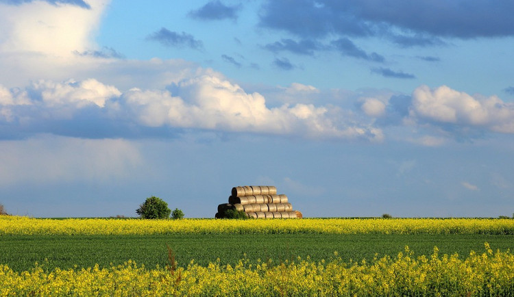 ilustrační fotografie