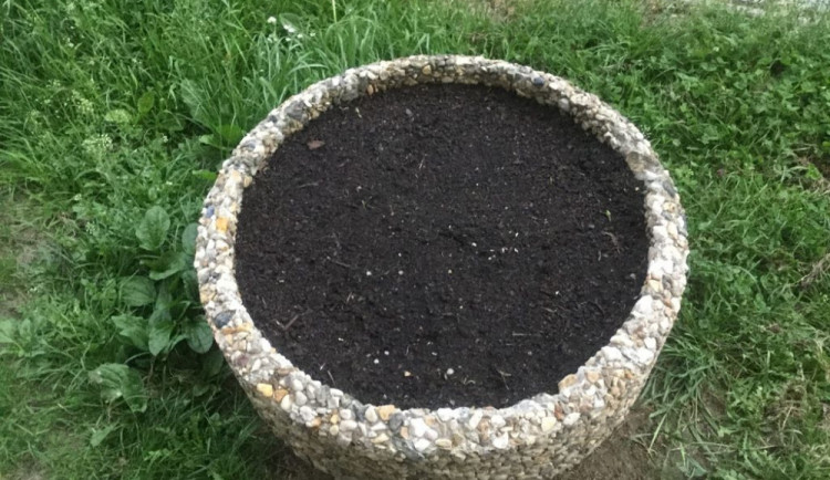 Truhlík bez květin