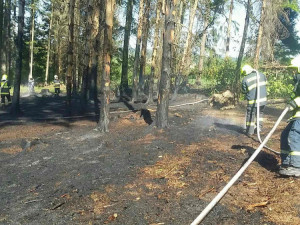 V lese u Heroltovic hořelo, hasiči měli plameny pod kontrolou za půl hodiny