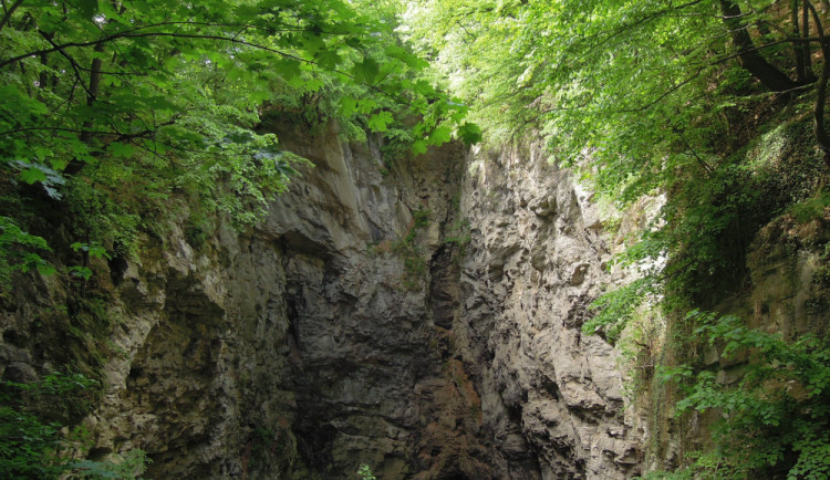 Hůrka_u_Hranic_(31)