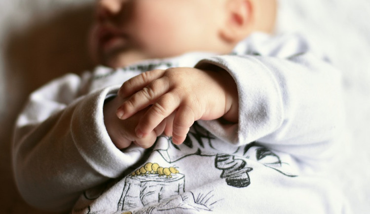 ilustrační fotografie