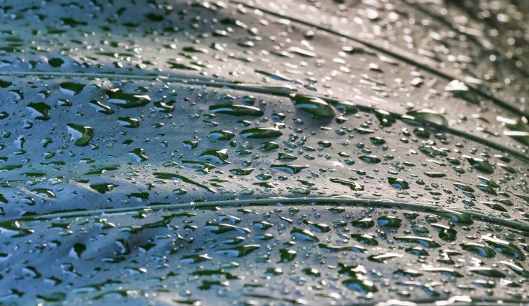 ilustrační fotografie