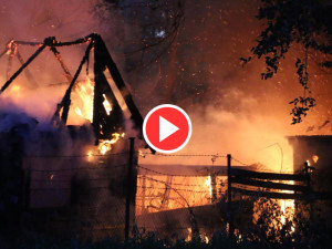 FOTO/VIDEO: V Olomouci v pondělí večer hořela zahradní chatka, zasahovaly tři jednotky hasičů