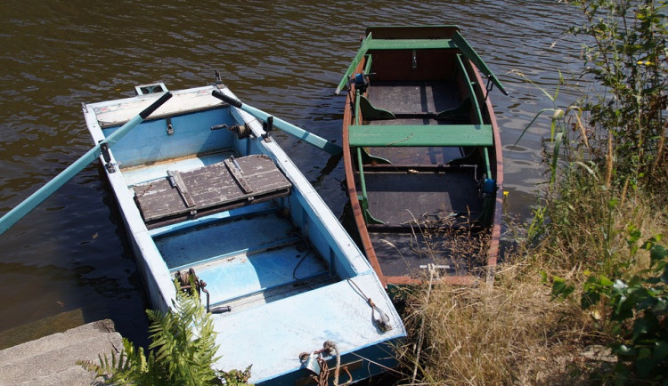 ilustrační fotografie