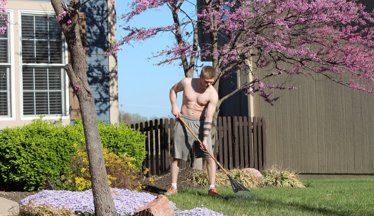 ilustrační fotografie