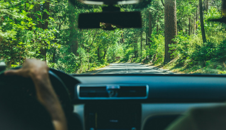 ilustrační fotografie