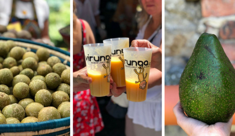 FOTOGALERIE: Jackfruit, baby banány nebo drink z cukrové třtiny. Olomoučané v neděli ochutnávali Afriku