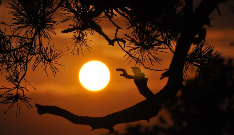 ilustrační fotografie