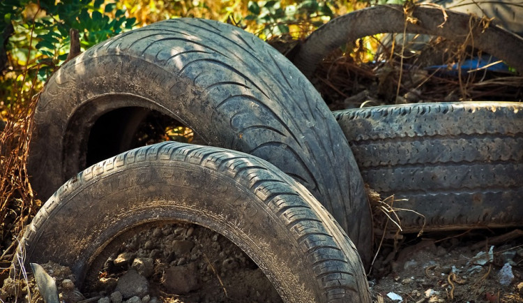 ilustrační fotografie