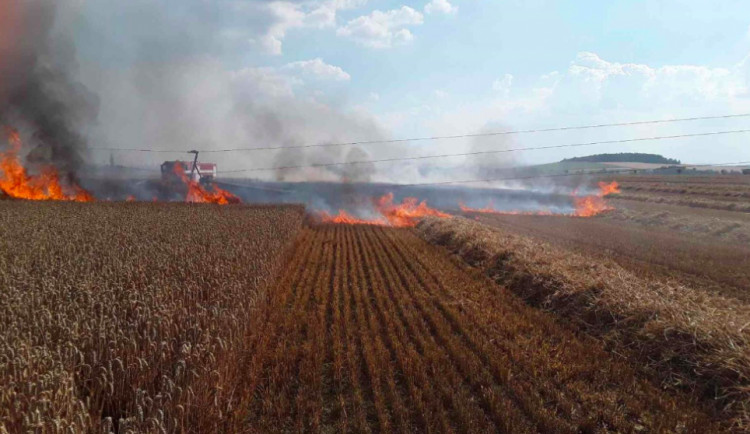 ilustrační fotografie