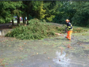 Při odpolední bouřce na Přerovsku padaly v areálu tábora stromy