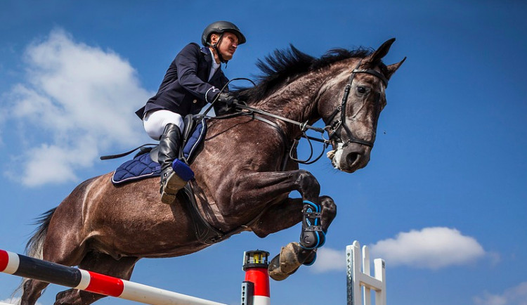 ilustrační fotografie