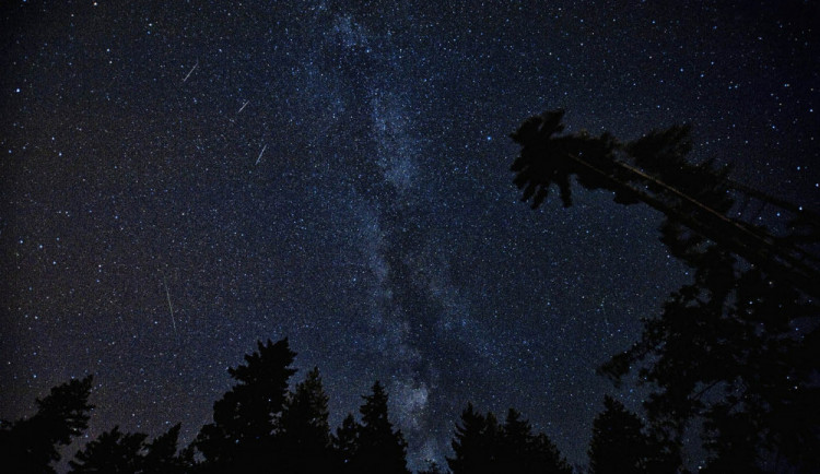 ilustrační fotografie