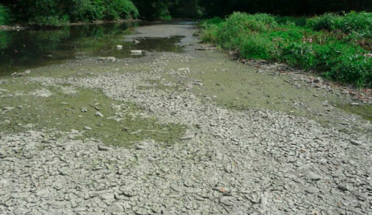 ilustrační fotografie