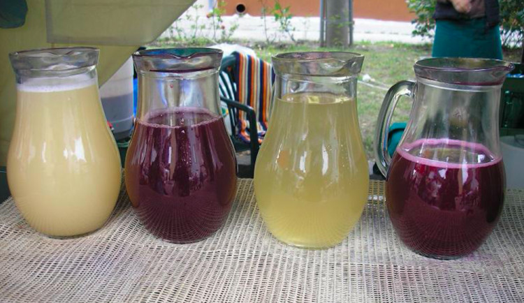 ilustrační fotografie