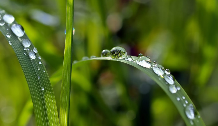 ilustrační fotografie