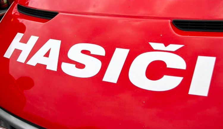 ilustrační fotografie