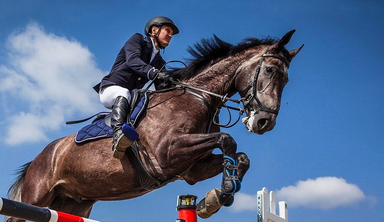 ilustrační fotografie