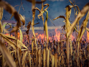 41500237_2063625443689675_6481093692475047936_n