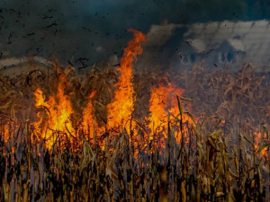 41432812_2063625280356358_3000574705443799040_n