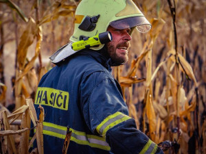 41440952_2063625307023022_4303892173616578560_n