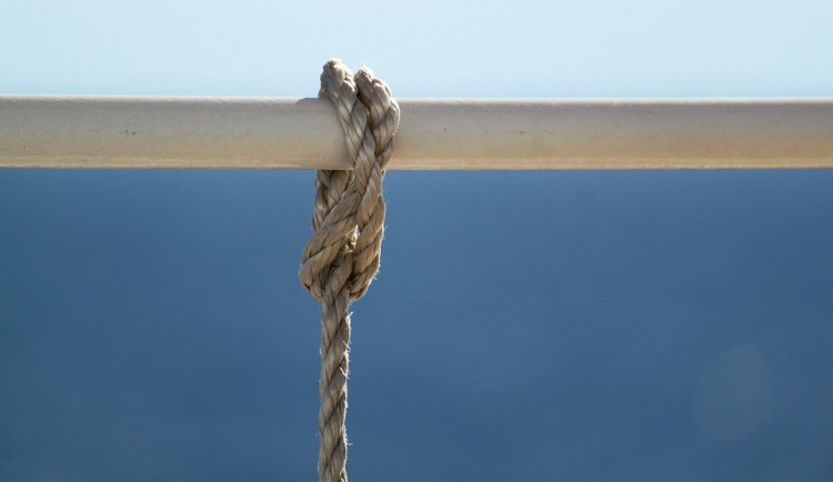 ilustrační fotografie