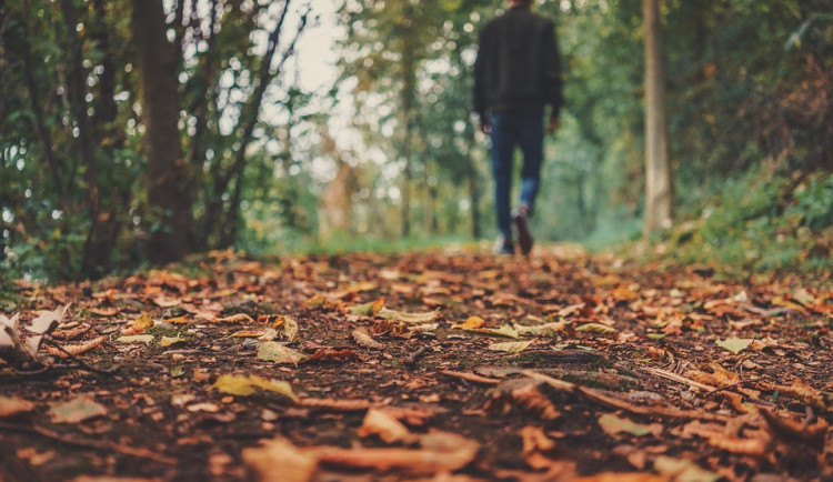 ilustrační fotografie