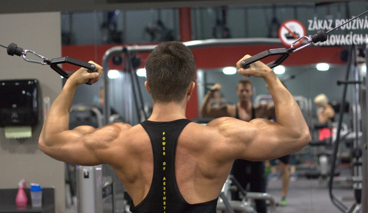 ilustrační fotografie