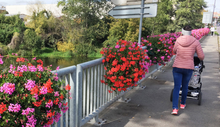 Inspirace ze Znojma – květiny na zábradlích mostů