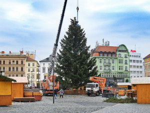 FOTO/VIDEO: Na náměstí už stojí vánoční stromeček. Jméno se dozvíme při pátečním rozsvěcení